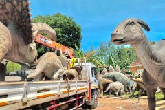 LINE_ALBUM_Crane_251024_4