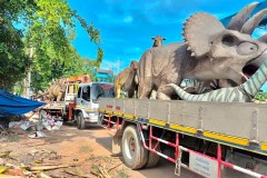 LINE_ALBUM_Crane_251024_5