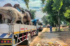 LINE_ALBUM_Crane_251024_6